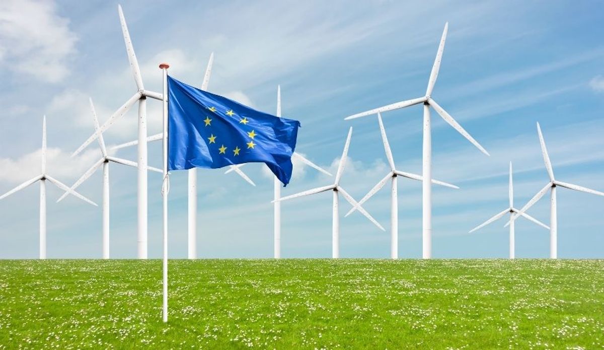 Aktuelle Updates zur EU-Entwaldungsverordnung und ESG-Rahmenwerke navigieren: Wesentliche Einblicke für Unternehmen