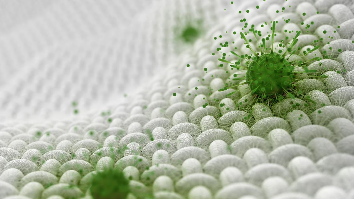 Antimikrobielle Gewebeprüfung: Überblick über wichtige Testmethoden