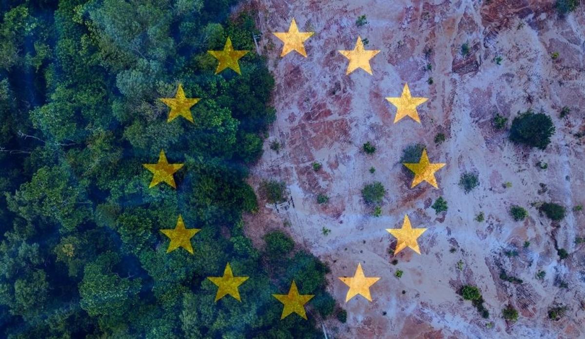 EUDR auf 2026/2027 verschoben: Neuer Zeitplan, Vereinfachung & was Unternehmen tun müssen