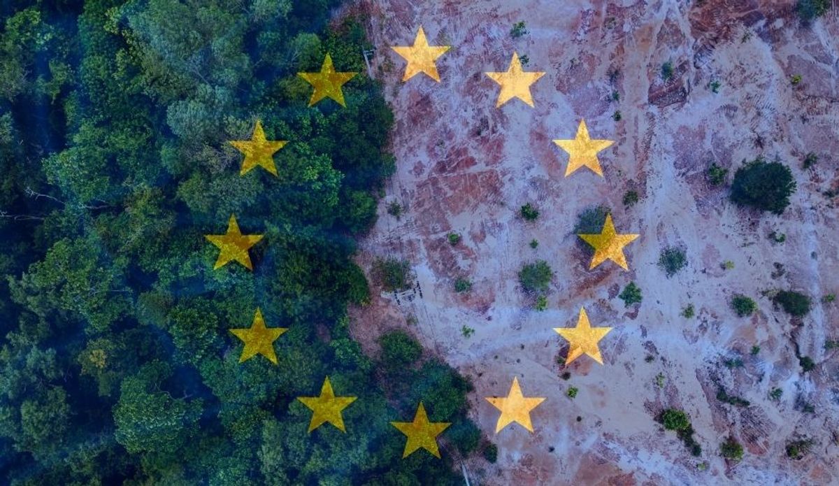 EUDR auf 2026/2027 verschoben: Neuer Zeitplan, Vereinfachung & was Unternehmen tun müssen