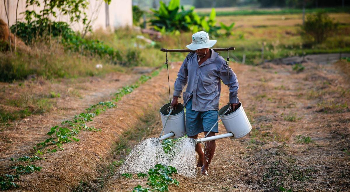 EU Forced Labor Article
