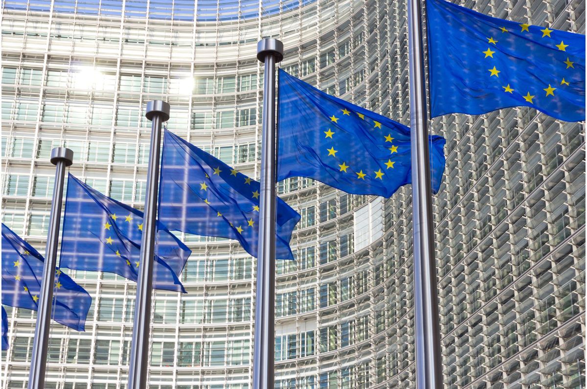 Ihr Unternehmen auf den EU Green Deal vorbereiten: Compliance trifft auf Innovation