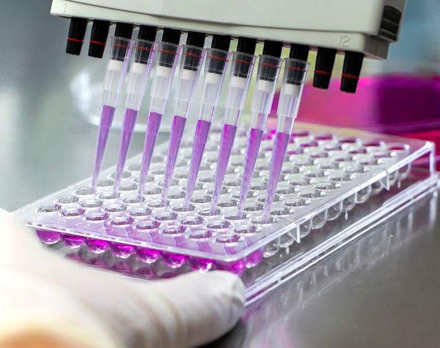 Präklinische Forschung und Tests Präklinische Forschung und Tests