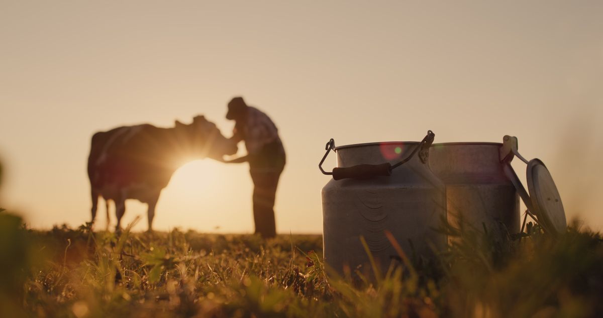 QIMA und Nutron/Cargill starten das Nutron Bem+Leite Tierschutz-Zertifizierungsprogramm
