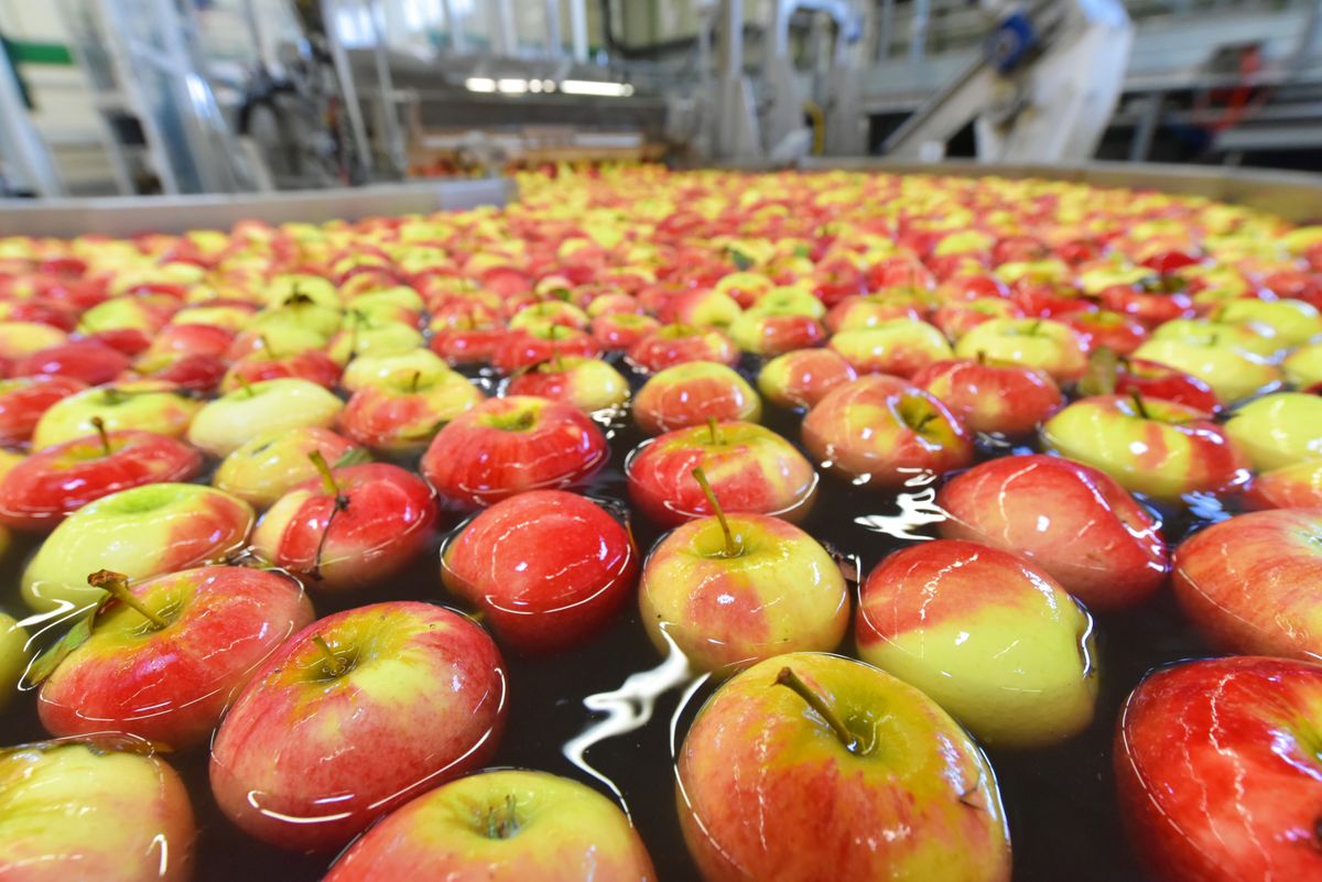 Entdecken Sie den IFS Fortschritt Food