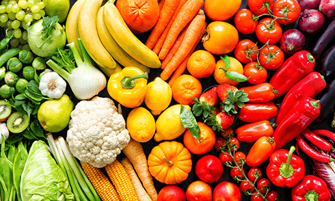 PFA - Localgap frutas e vegetais: O primeiro passo para a agricultura sustentável