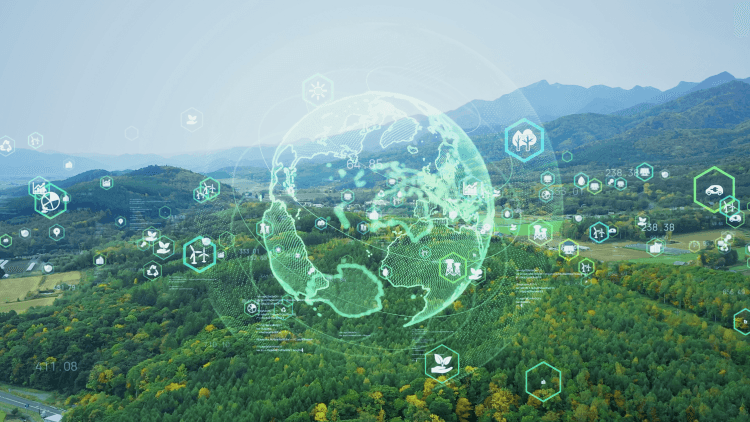 QIMA mit dem Bundesverband der German Importers (VFI): Umsetzung der EUDR - Ein Fahrplan für die Einhaltung der Vorschriften