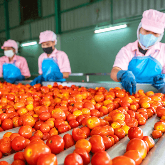 Descifrando la auditoría social: puntos claves y preparación efectiva Descifrando la auditoría social: puntos claves y preparación efectiva