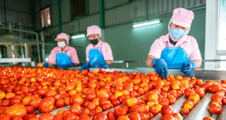 Desvendando a Auditoria Social: Práticas essenciais e preparação eficaz