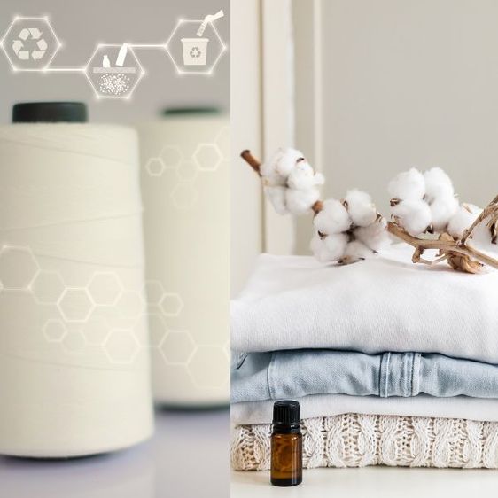 Tính Bền Vững Trong Chuỗi Cung Ứng: Thử Nghiệm Cotton DNA và rPET
