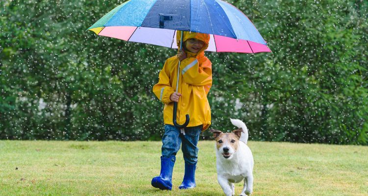 Xu Hướng Toàn Cầu, Quy Định và Giải Pháp Liên Quan Đến PFAS Xu Hướng Toàn Cầu, Quy Định và Giải Pháp Liên Quan Đến PFAS