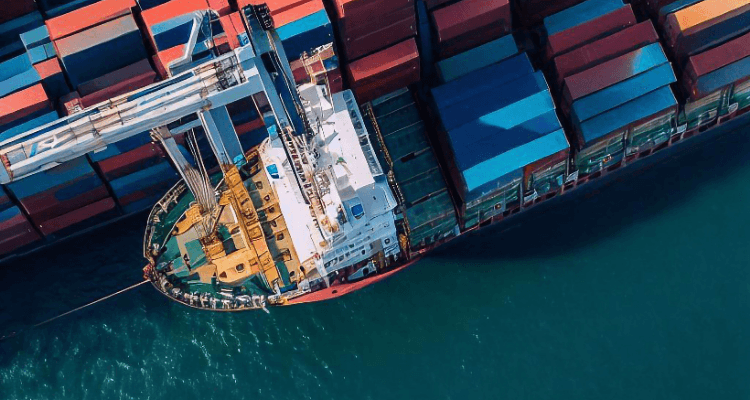 Impacto das Tarifas nas Exportações de Frutas Brasileiras