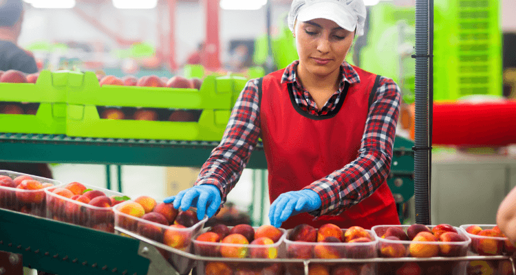 Gestão de fornecedores: Construindo parcerias seguras