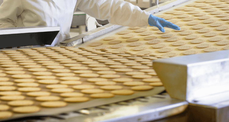 SQF for Beginners: What to Expect in Your First Year