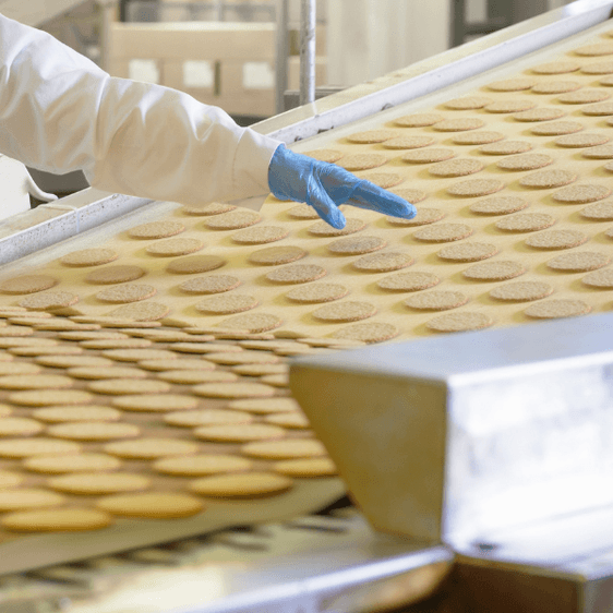 SQF for Beginners: What to Expect in Your First Year SQF for Beginners: What to Expect in Your First Year